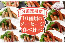 【定期便】手造りウィンナー 食べ比べ 10種類 Oセット×3回 ウィンナー ソーセージ チーズ あらびき ペッパー 餃子 ガーリック 生ウィンナー うえすたん セット 食べ比べ 詰め合わせ バラエティ