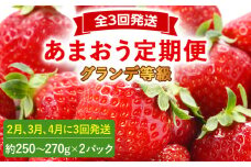【2026年発送先行予約】あまおう2パック×3回発送定期便 (2月、3月、4月発送) 定期便 約250～270g×2パック いちご フルーツ 果物 あまおう 苺 イチゴ 福岡【発送時期2026年2月、3月、4月】