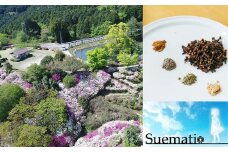 須恵町の香り 華笑み香 オリジナル 匂い袋 (単品) HE003-1