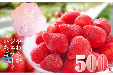 甘さ溶け出す柔らか まるごとジェラートいちご 250g×2パック500g  SE0605-172 /冷凍 あまおう いちご 冷凍あまおう こおりいちご