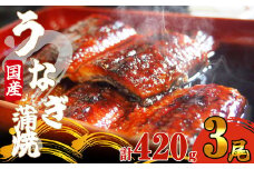 《 国産 》 ふっくら 肉厚 うなぎ蒲焼 3尾 420g SF064-1