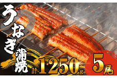 ふっくら 有頭 うなぎ蒲焼 5尾 1250g SF011-2 ～ 冷凍 鰻 特大 小分け ウナギ 蒲焼 蒲焼き 大人気 タレ スタミナ 夏バテ 5尾 1250g おつまみ 魚貝 レンジ トースター オーブン フライパン 湯煎 おつまみ 訳あり うな丼 うな重 中国産 取り寄せ 人気 ふわふわ ランキング レンチン レシピ ごはん 自宅 贈答 ～