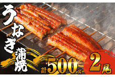 ふっくら肉厚 有頭 うなぎ蒲焼 2尾 500g SF010-2 ～ 冷凍 鰻 特大 小分け ウナギ 蒲焼 蒲焼き 大人気 タレ スタミナ 夏バテ 5尾 1250g おつまみ 魚貝 レンジ トースター オーブン フライパン 湯煎 おつまみ 訳あり うな丼 うな重 中国産 取り寄せ 人気 ふわふわ ランキング レンチン レシピ ごはん 自宅 贈答 ～