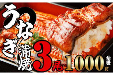 ふっくらジューシー 有頭 うなぎ蒲焼 3尾 合計1000g前後 SF012-2 ～ 冷凍 鰻 特大 小分け ウナギ 蒲焼 蒲焼き 大人気 タレ スタミナ 夏バテ 5尾 1250g 小分け 魚貝 レンジ 訳あり 訳あり商品 湯煎 冬うなぎ うな丼 うな重 中国産 取り寄せ 人気 ふわふわ ひつまぶし ～