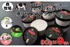[ 森牧場 ] 搾りたてミルクジェラート 90g×9個 MR001-1