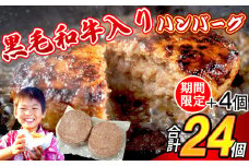 【特別ご案内】120g × 24個 合計 2800g以上 牛100％ 黒毛和牛入り ハンバーグステーキ SF110-1 ～ 期間限定 数量限定 4個 プラス 牛肉 国産牛 和牛 福岡県 肉 九州産 豪州産 人気 スパイス 香辛料 ハンバーガー 個包装 お惣菜 小分け 簡単調理 冷凍 はんばーぐ お手軽 湯煎 美味しい 大容量 弁当 おかず 和風 国産 福岡 冷凍 人気 柔らかい 洋食屋 本格 ～