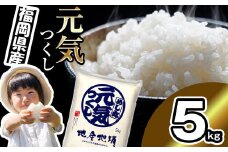 <令和6年産> 福岡県産 ブランド 米「 元気つくし 」 5kg NP002-2