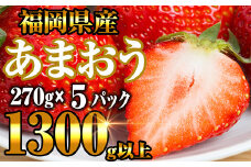【2025年2月以降順次発送】 福岡県産 あまおう 1350g ( 270g 平パック × 5パック ) NF009-1