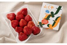 福岡 2つの名物の味が楽しめる！あまおう 1パック ＆ ふくや 味の明太子 100g《12月上旬～3月末にかけて順次発送》 NF010-1