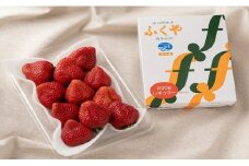 福岡 2つの名物の味が楽しめる ! あまおう 1パック ＆ ふくや 味の明太子 200g《12月上旬～3月末にかけて順次発送》 NF011-1