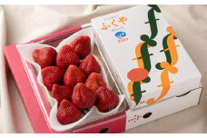 福岡 2つの名物の味が楽しめる ! あまおう 1パック ＆ ふくや 味の明太子 290g《12月上旬～3月末にかけて順次発送》 NF012-1