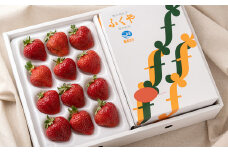 福岡 2つの名物の味が楽しめる ! あまおう 12～15粒ギフト箱 ＆ ふくや 味の明太子 540g《12月上旬～3月末にかけて順次発送》 NF013-1