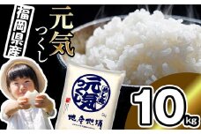 〈令和6年産〉【数量限定】 福岡県産 ブランド 米「 元気つくし 」 10kg NP003-3