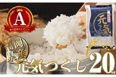 【2025年3月発送】 先行予約 福岡県産 米「 元気つくし 」 20kg NP006-[9]