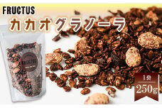 【FRUCTUS】カカオグラノーラ 250g FR003-2