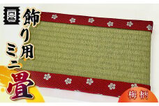 竹田たたみ店　ミニ畳(HANA香織No2)　TT011-1