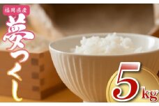 【先行予約】数量限定〈令和7年産〉福岡県産夢つくし5kg [MY001-1] 米都らいす【福岡県須恵町】米 新米