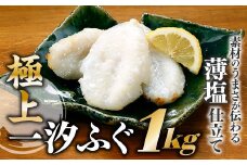 AC075.極上一汐ふぐ（約１ｋｇ）