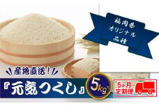 G016.【全5回定期便】特Ａも獲得した自慢のお米『元気つくし』5kg【元気つくし】