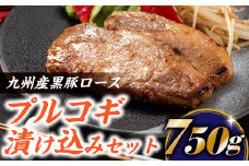 A1449.九州産黒豚ロースプルコギ漬け込みセット（750g）