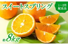 AA091.【予約受付・期間限定商品】福岡柑橘王国・スイートスプリング／約8kg(2026年1月～2月配送予定）