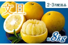 AA092.【予約受付・期間限定商品】福岡柑橘王国・文旦（2026年2月～3月配送予定）