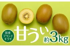 AB135.九州・福岡フルーツ王国より直送.人気の新ブランドキウイフルーツ（甘うぃ）約3kg／2025年11月配送【甘うぃ】