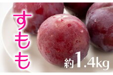 AB136.九州・福岡フルーツ王国より直送.すもも.約1.4kg／2026年6月配送