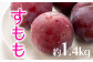 ※写真はイメージとなります。
