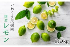 AA079.貴重な国産レモン.約5kg.新宮町産の逸品です／2025年9月～2026年2月発送予定