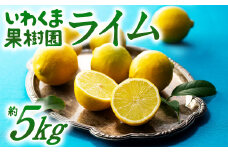 AA206.貴重な国産ライム.約5kg／2025年10月～12月発送予定