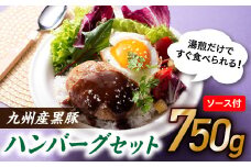 A1453.九州産黒豚ハンバーグセット