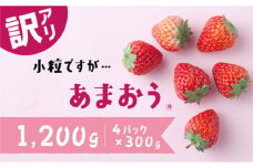【訳あり.限定品】あまおう.小粒ですが約１２００g（先行受付．２０２６年１月以降発送）.AB380