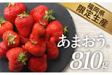 人気№１獲得謝礼品★限定品★あまおう約８１０g（先行受付．２０２６年１月以降発送）.AB379