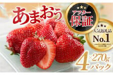【航空便だから美味しい】いちごの王様「あまおう」約１，０８０g（２０２６年１月以降発送）．ＡＢ３７８