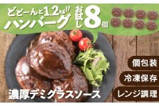 ZG146.累計４０万個突破記念！お試し1.2㎏!デミハンバーグ【150g×8個】