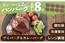 ZG197.累計４０万個突破記念！お試し1.2㎏!デミ＆カレーハンバーグセット【150g×8個】