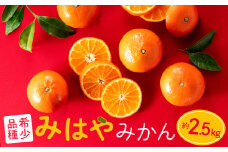 AA088.【希少品種】みはやみかん／約2.5キロ(2025年12月上旬～2026年1月末発送予定)