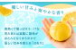 おうち時間を美味しく！九州・福岡の自然の恵みをぜひご家庭で！