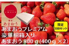 BE037.★限定品★あまおうプレミアム（桐箱入り）／２０２６年１月下旬～４月配送【あまおう】