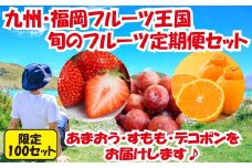 CE012.【人気】九州・福岡フルーツ王国.旬のフルーツ定期便Gセット