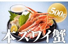 A1441.獲れたてボイル「本ズワイ蟹」５００g