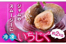 A1559.冷凍いちじく約2キロ【とよみつひめ】