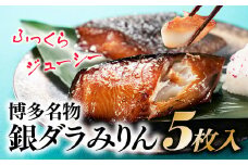 AG080.博多名物．銀ダラみりん（５枚入）