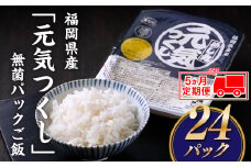 FE002.【定期便】福岡県産「元気つくし」無菌パックご飯(２４パック)×５ヶ月送付