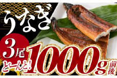 A1526.うなぎの蒲焼３尾（計１，０００ｇ前後）『１～２ヶ月前後でお届け！！』
