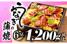 B339.うなぎの蒲焼６尾（計１２００g以上）『１～２ヶ月前後でお届け！！』