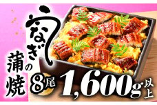 BE043.うなぎの蒲焼８尾（計１６００g以上）『１～２ヶ月前後でお届け！！』