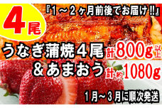 BD018.うなぎの蒲焼４尾＆いちごの王様あまおう１０８０g【新宮町ミラクルセット】
