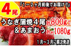 BD018.うなぎの蒲焼４尾＆いちごの王様あまおう１０８０g【新宮町ミラクルセット】